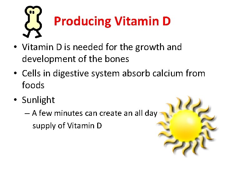 Producing Vitamin D • Vitamin D is needed for the growth and development of