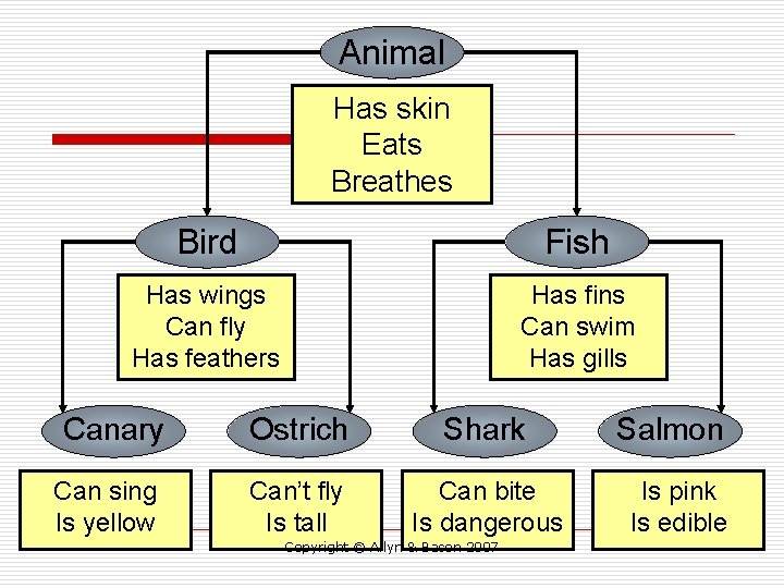 Animal Has skin Eats Breathes Bird Fish Has wings Can fly Has feathers Has