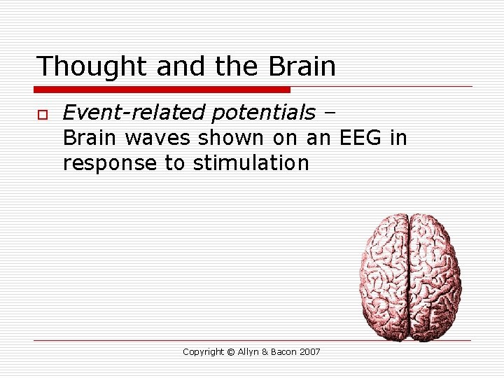 Thought and the Brain o Event-related potentials – Brain waves shown on an EEG