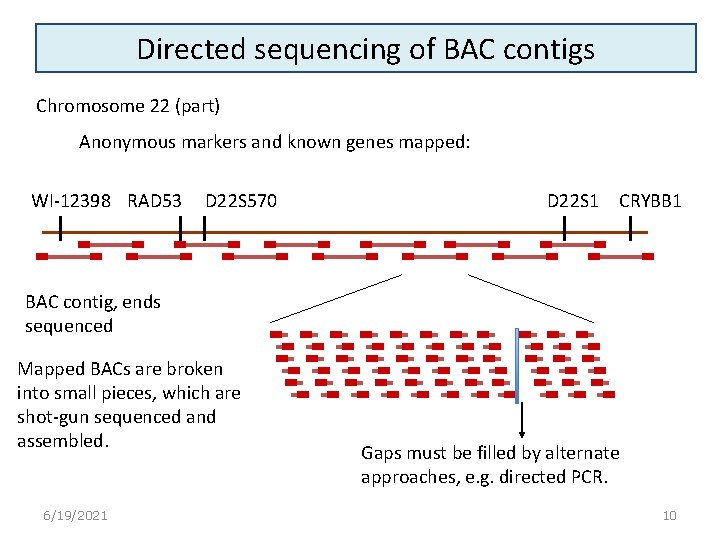 Directed sequencing of BAC contigs Chromosome 22 (part) Anonymous markers and known genes mapped: