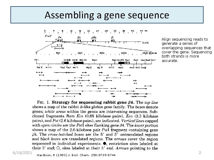 Assembling a gene sequence Align sequencing reads to generate a series of overlapping sequences