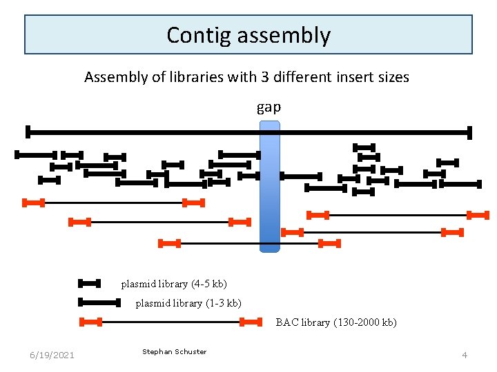 Contig assembly Assembly of libraries with 3 different insert sizes gap plasmid library (4