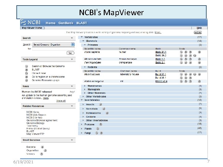 NCBI’s Map. Viewer 6/19/2021 7 