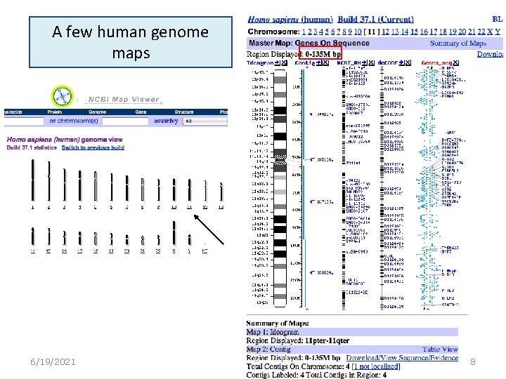 A few human genome maps 6/19/2021 8 