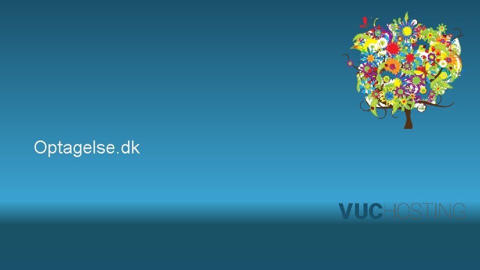 Optagelse. dk 