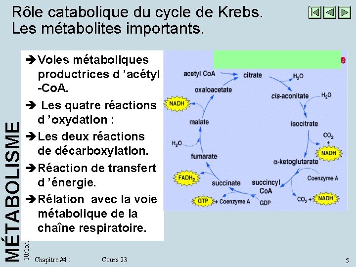 è Voies métaboliques productrices d ’acétyl -Co. A. è Les quatre réactions d ’oxydation