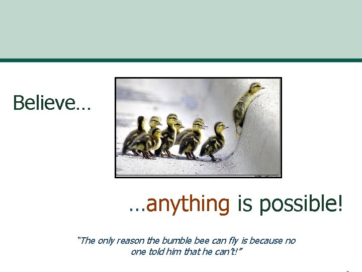 Believe… …anything is possible! “The only reason the bumble bee can fly is because