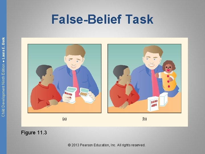 Child Development Ninth Edition ● Laura E. Berk False-Belief Task Figure 11. 3 ©