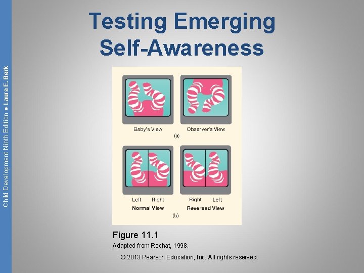 Child Development Ninth Edition ● Laura E. Berk Testing Emerging Self-Awareness Figure 11. 1