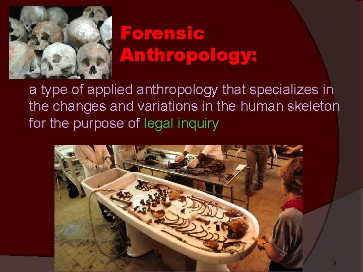 Forensic Anthropology: a type of applied anthropology that specializes in the changes and variations