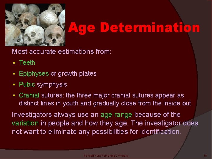 Age Determination Most accurate estimations from: § Teeth § Epiphyses or growth plates §