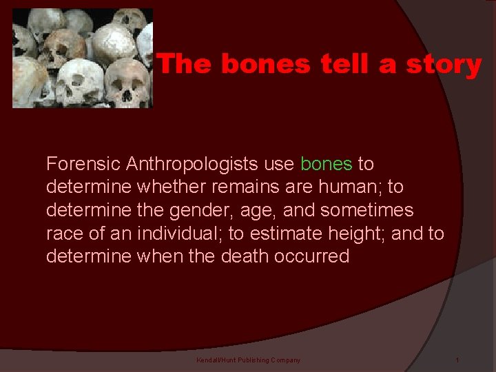 The bones tell a story Forensic Anthropologists use bones to determine whether remains are