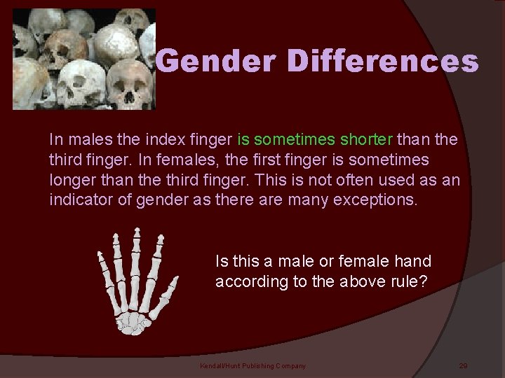 Gender Differences In males the index finger is sometimes shorter than the third finger.