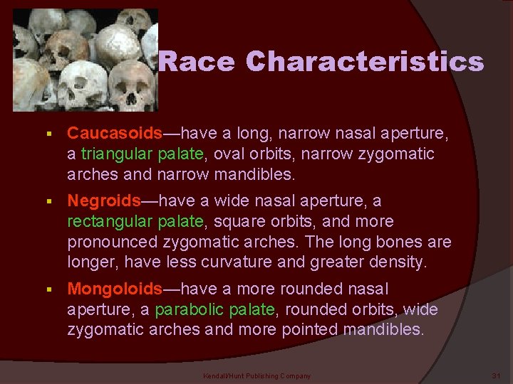 Race Characteristics § Caucasoids—have a long, narrow nasal aperture, a triangular palate, oval orbits,