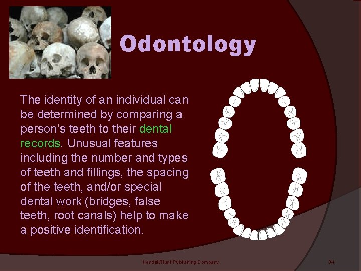 Odontology The identity of an individual can be determined by comparing a person’s teeth