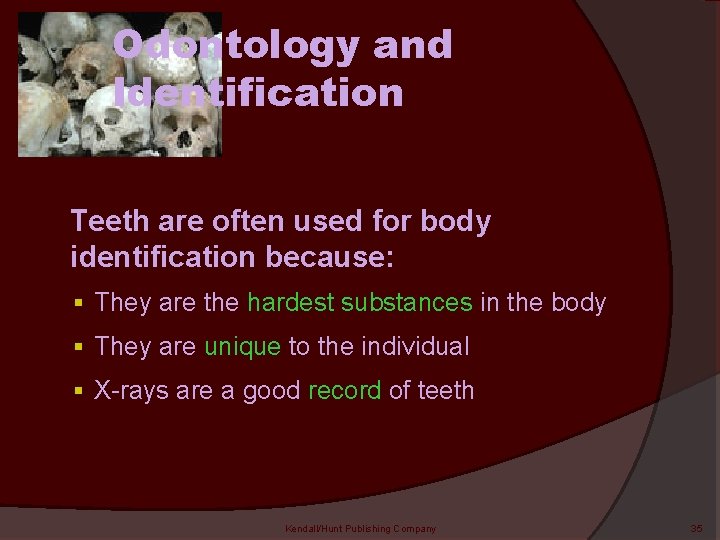 Odontology and Identification Teeth are often used for body identification because: § They are