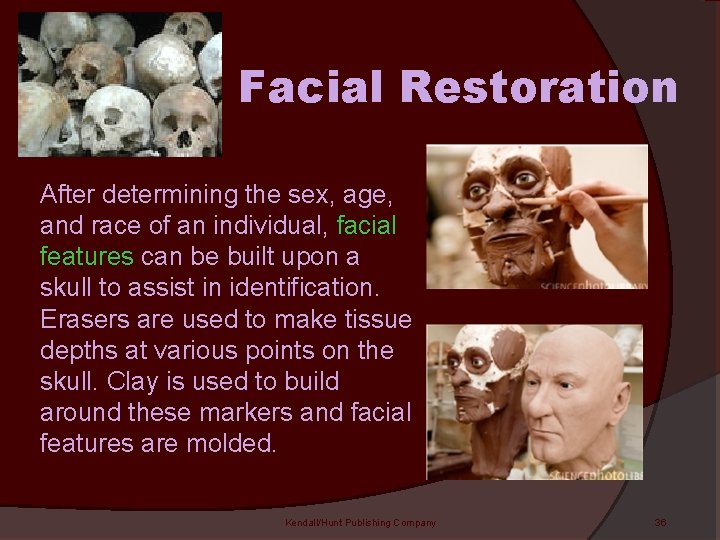 Facial Restoration After determining the sex, age, and race of an individual, facial features