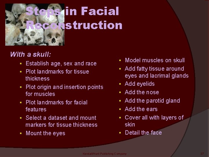 Steps in Facial Reconstruction With a skull: § Establish age, sex and race §