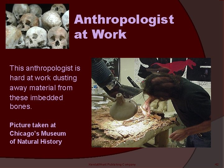 Anthropologist at Work This anthropologist is hard at work dusting away material from these