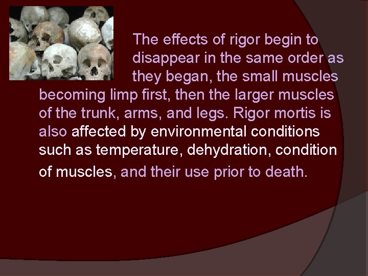 The effects of rigor begin to disappear in the same order as they began,