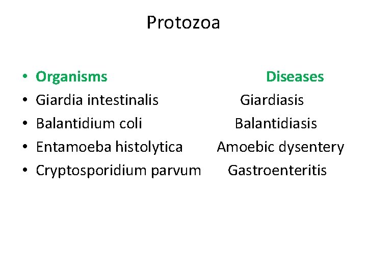 Protozoa • • • Organisms Diseases Giardia intestinalis Giardiasis Balantidium coli Balantidiasis Entamoeba histolytica