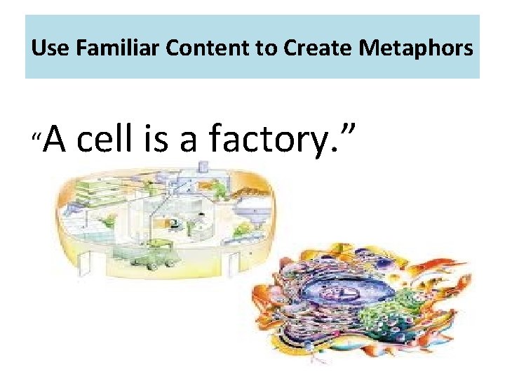 Use Familiar Content to Create Metaphors “A cell is a factory. ” 