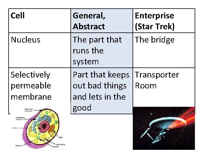Cell Nucleus Selectively permeable membrane General, Abstract The part that runs the system Part