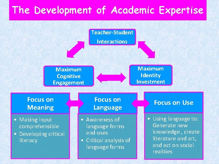 The Development of Academic Expertise Teacher-Student Interactions Maximum Identity Investment Maximum Cognitive Engagement Focus