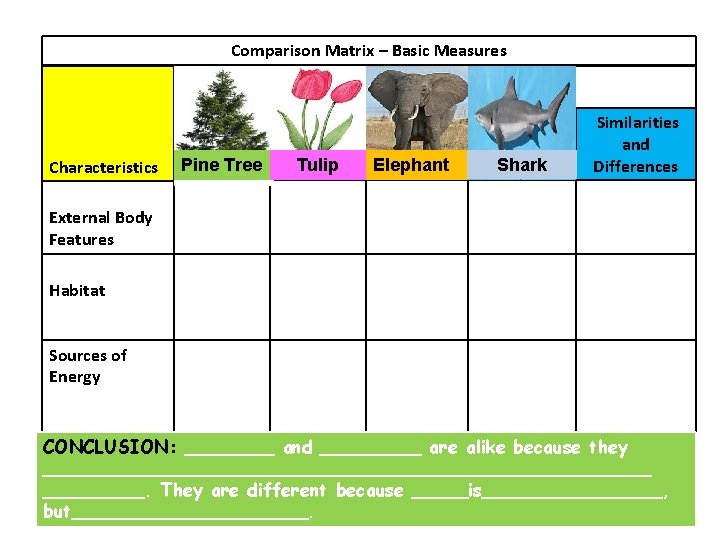 Comparison Matrix – Basic Measures Items to be compared Characteristics Pine Tree Tulip Elephant