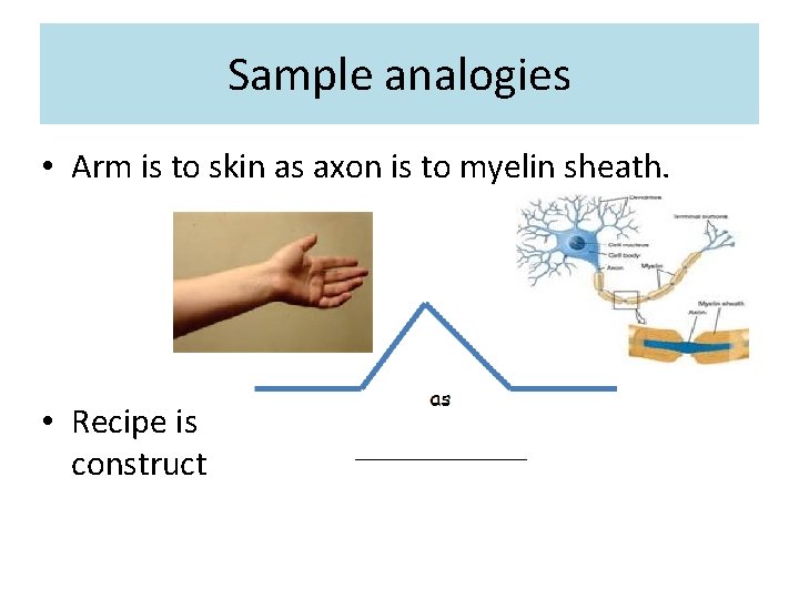 Sample analogies • Arm is to skin as axon is to myelin sheath. •