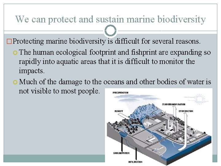 We can protect and sustain marine biodiversity �Protecting marine biodiversity is difficult for several