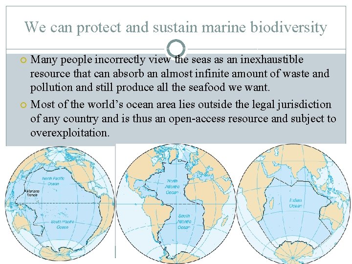 We can protect and sustain marine biodiversity Many people incorrectly view the seas as