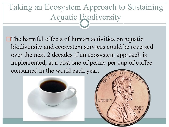 Taking an Ecosystem Approach to Sustaining Aquatic Biodiversity �The harmful effects of human activities