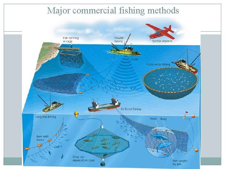 Major commercial fishing methods 