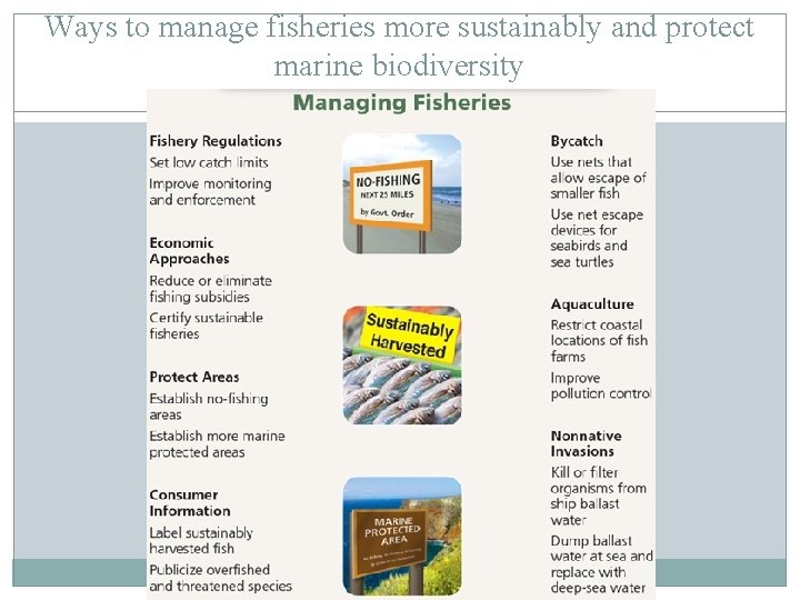 Ways to manage fisheries more sustainably and protect marine biodiversity 