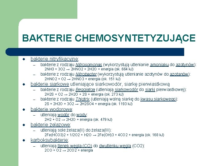 BAKTERIE CHEMOSYNTETYZUJĄCE l bakterie nitryfikacyjne: – bakterie z rodzaju Nitrosomonas (wykorzystują utlenianie amoniaku do