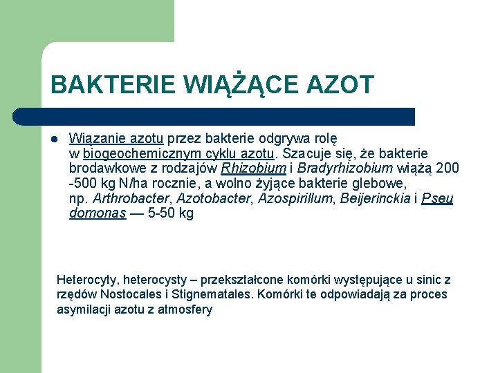 BAKTERIE WIĄŻĄCE AZOT l Wiązanie azotu przez bakterie odgrywa rolę w biogeochemicznym cyklu azotu.