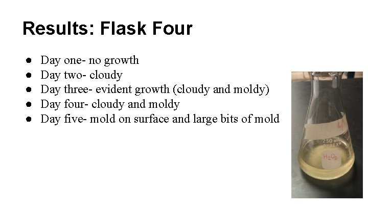 Results: Flask Four ● ● ● Day one- no growth Day two- cloudy Day