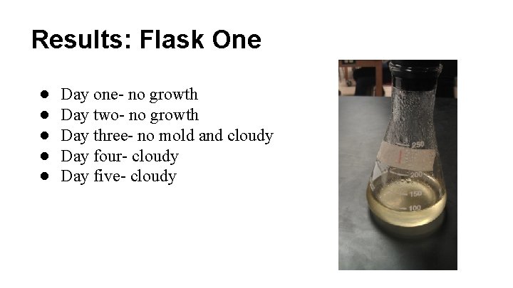Results: Flask One ● ● ● Day one- no growth Day two- no growth