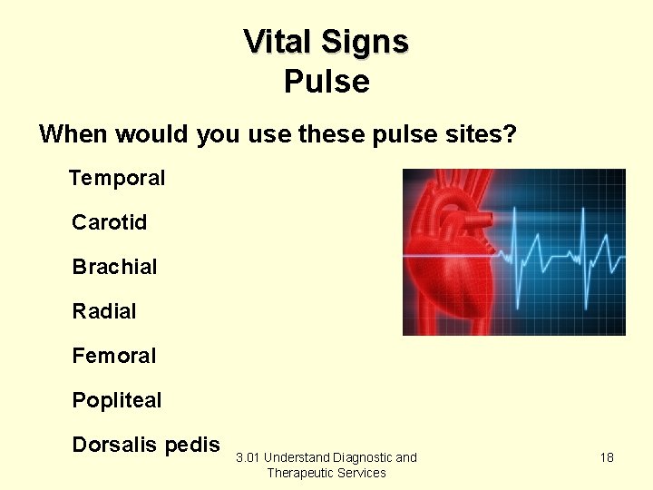 Vital Signs Pulse When would you use these pulse sites? Temporal Carotid Brachial Radial