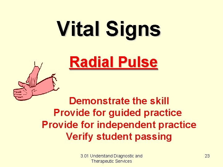 Vital Signs Radial Pulse Demonstrate the skill Provide for guided practice Provide for independent