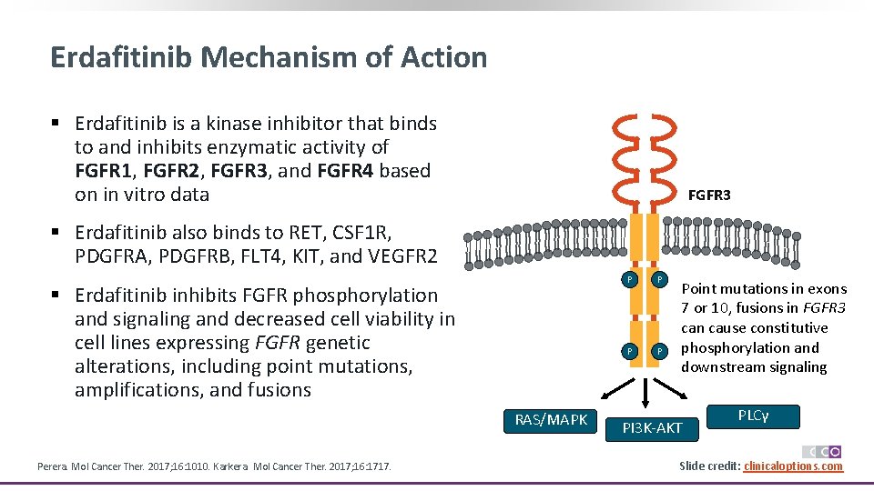 Erdafitinib Mechanism of Action § Erdafitinib is a kinase inhibitor that binds to and