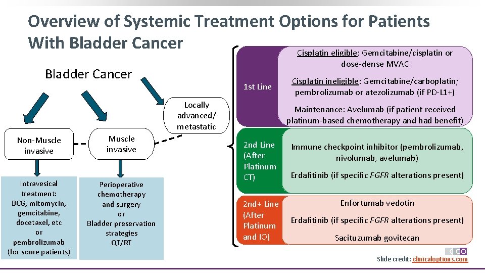 Overview of Systemic Treatment Options for Patients With Bladder Cancer Cisplatin eligible: Gemcitabine/cisplatin or