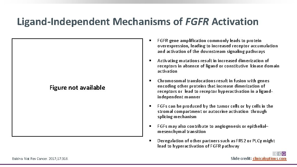 Ligand-Independent Mechanisms of FGFR Activation Figure not available Babina. Nat Rev Cancer. 2017; 17: