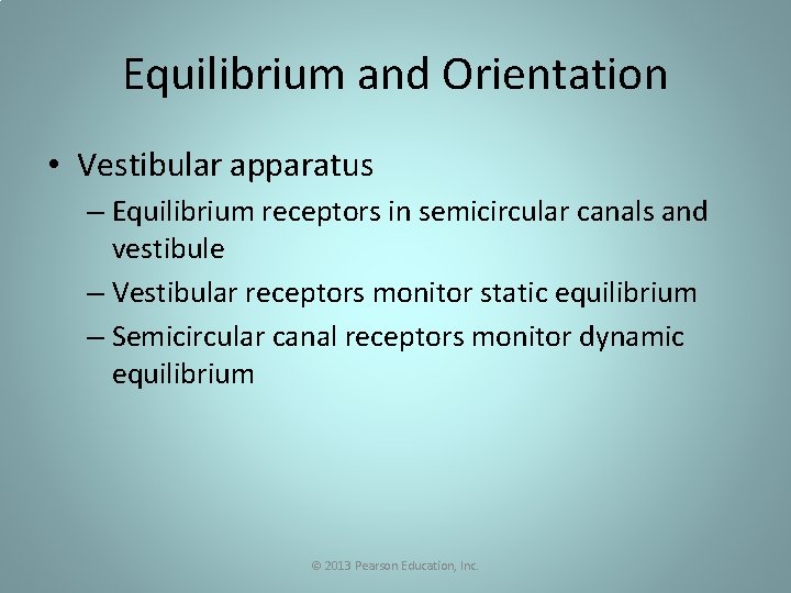Equilibrium and Orientation • Vestibular apparatus – Equilibrium receptors in semicircular canals and vestibule