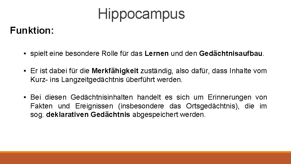 Hippocampus Funktion: • spielt eine besondere Rolle für das Lernen und den Gedächtnisaufbau. •
