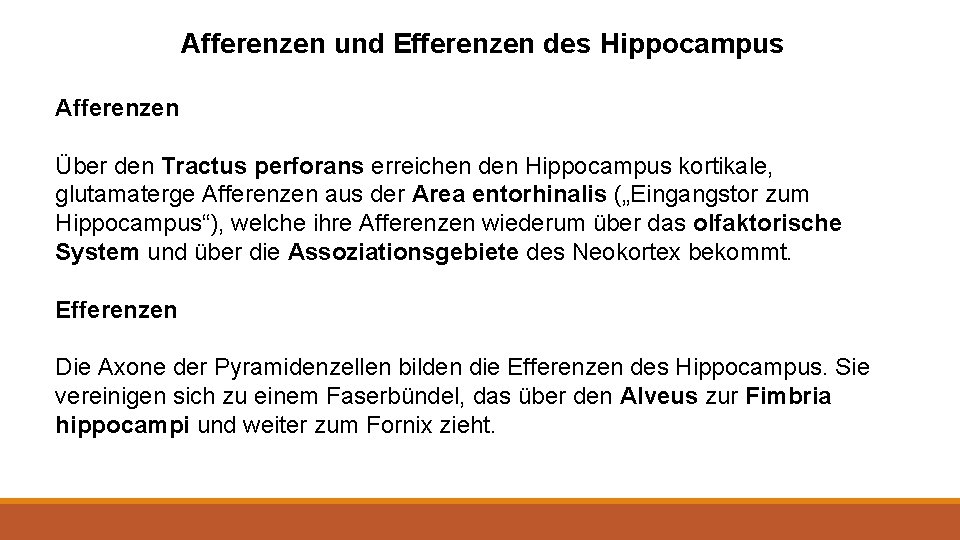 Afferenzen und Efferenzen des Hippocampus Afferenzen Über den Tractus perforans erreichen den Hippocampus kortikale,