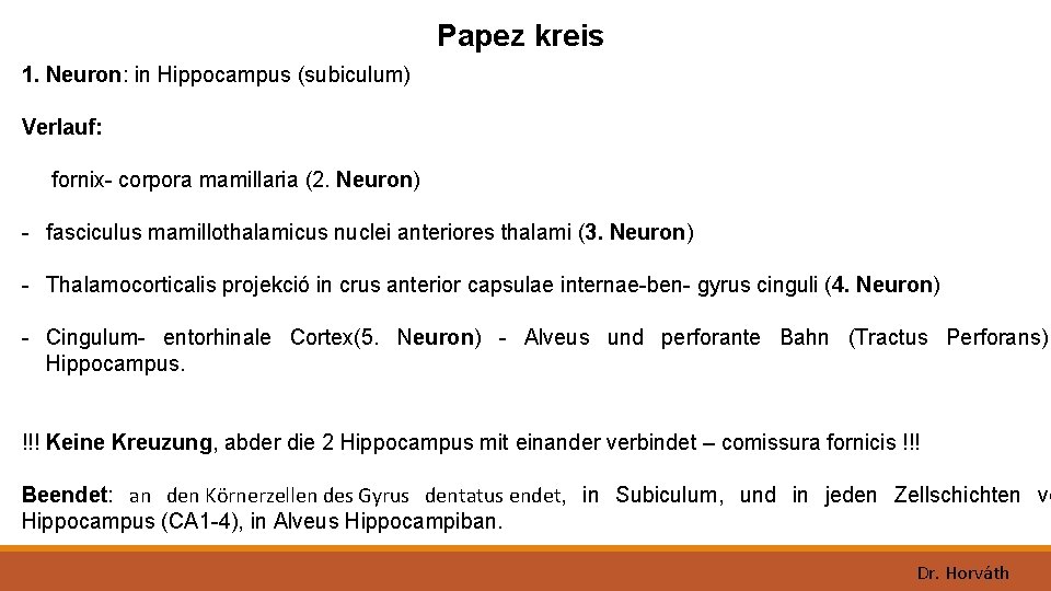 Papez kreis 1. Neuron: in Hippocampus (subiculum) Verlauf: fornix- corpora mamillaria (2. Neuron) -