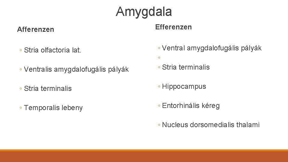 Amygdala Afferenzen Efferenzen ◦ Ventralis amygdalofugális pályák ◦ Ventral amygdalofugális pályák ◦ ◦ Stria