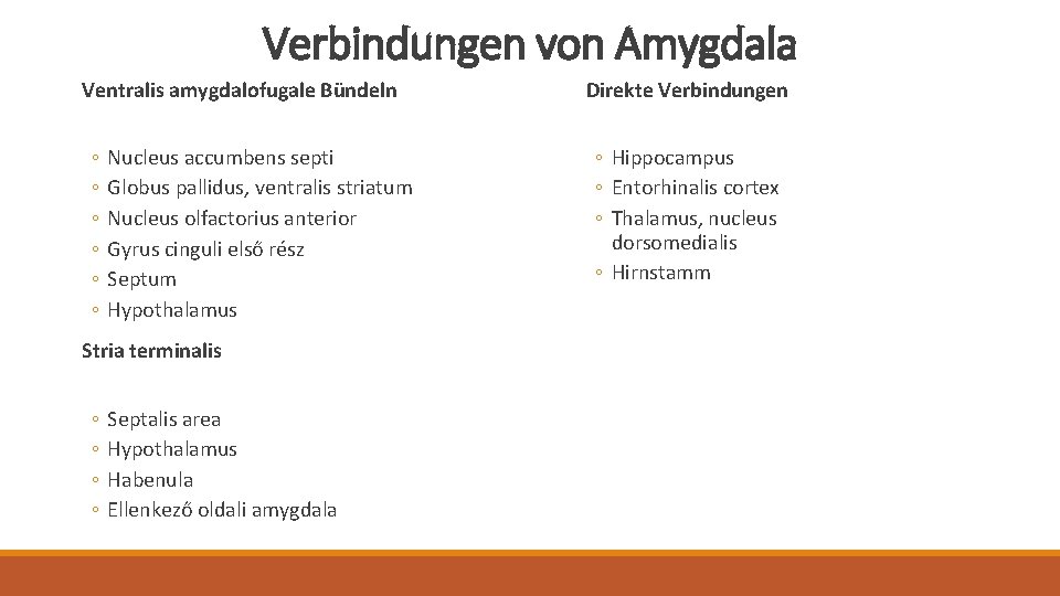 Verbindungen von Amygdala Ventralis amygdalofugale Bündeln ◦ ◦ ◦ Nucleus accumbens septi Globus pallidus,